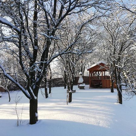 Zrubovy Dom Silvia Villa Trstene Bagian luar foto