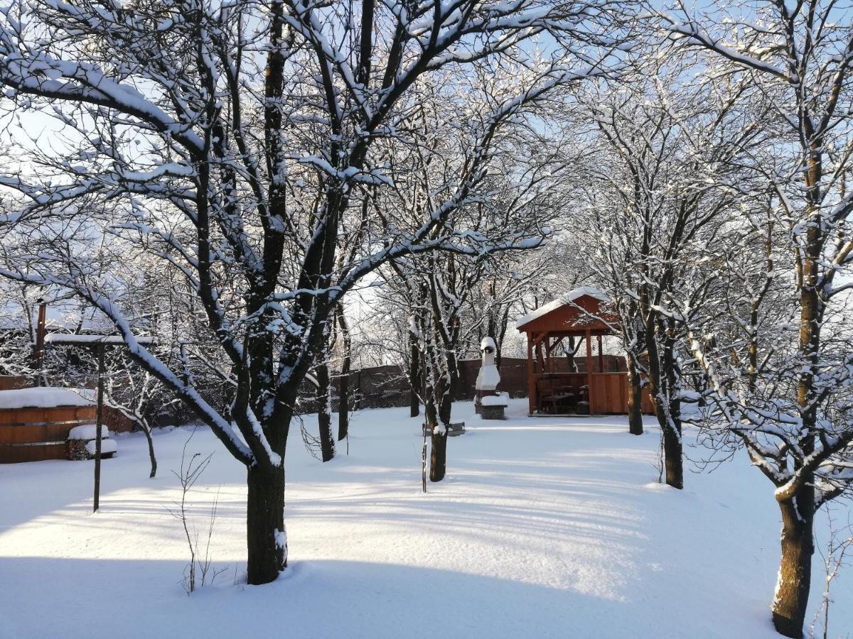 Zrubovy Dom Silvia Villa Trstene Bagian luar foto